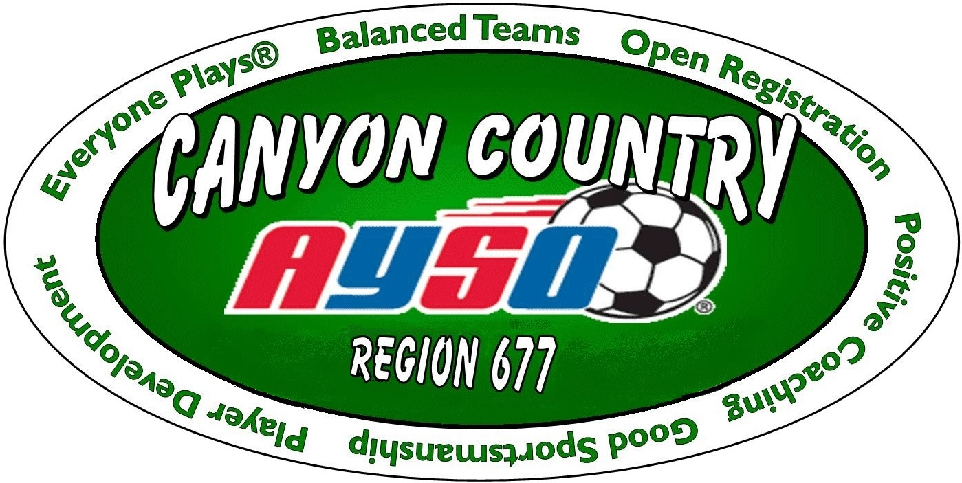 Region 677 Logo